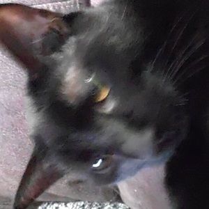 Meet your Posher, Eliana